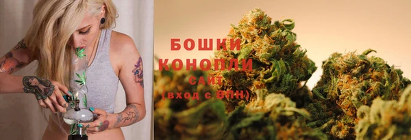 амф Надым